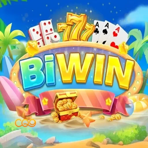 biwin