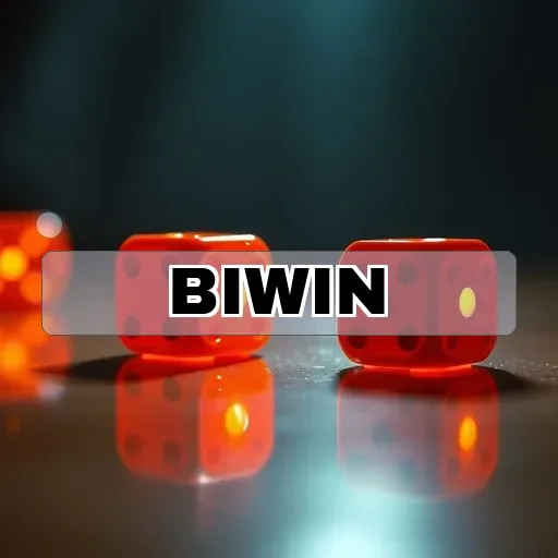 biwin - Strategi